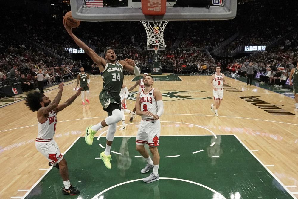 个性化的培 个性化的培