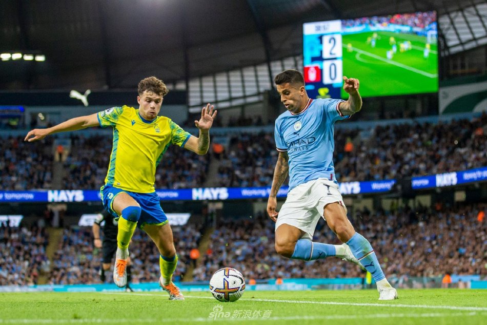 自从夏窗高 自从夏窗高